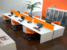 Operativo Hawaii - Pangea Muebles