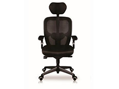 Ejecutivo Kahlo - Pangea Muebles